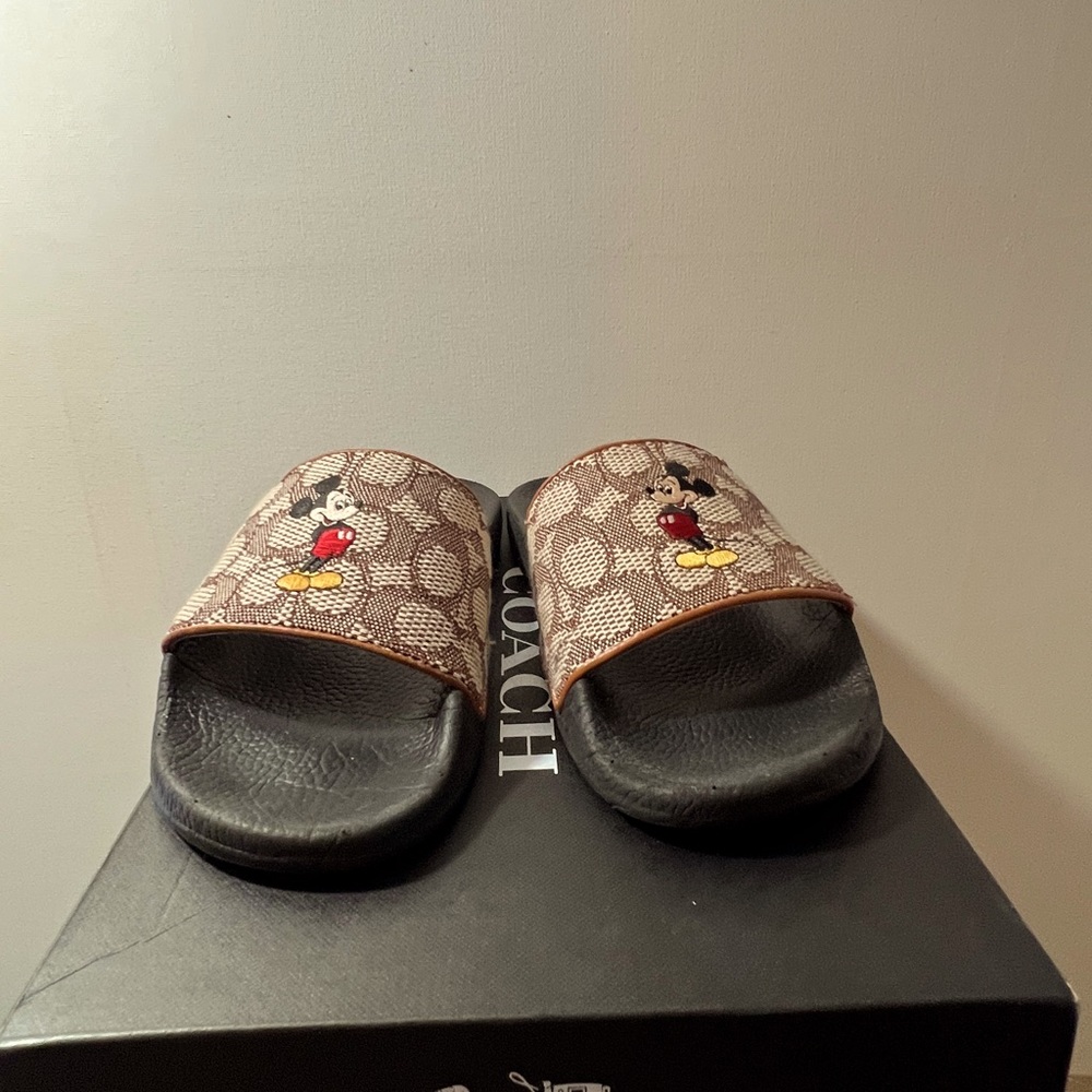 Mickey Mouse Coach Slides